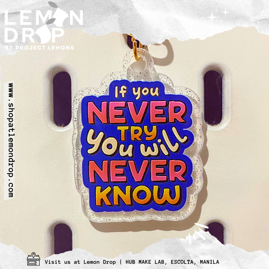 If You Never Try You Will Never Know Keychain