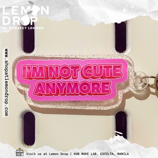 I'm Not Cute Anymore Keychain