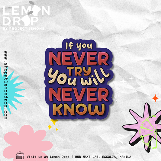 If You Never Try You Will Never Know Sticker